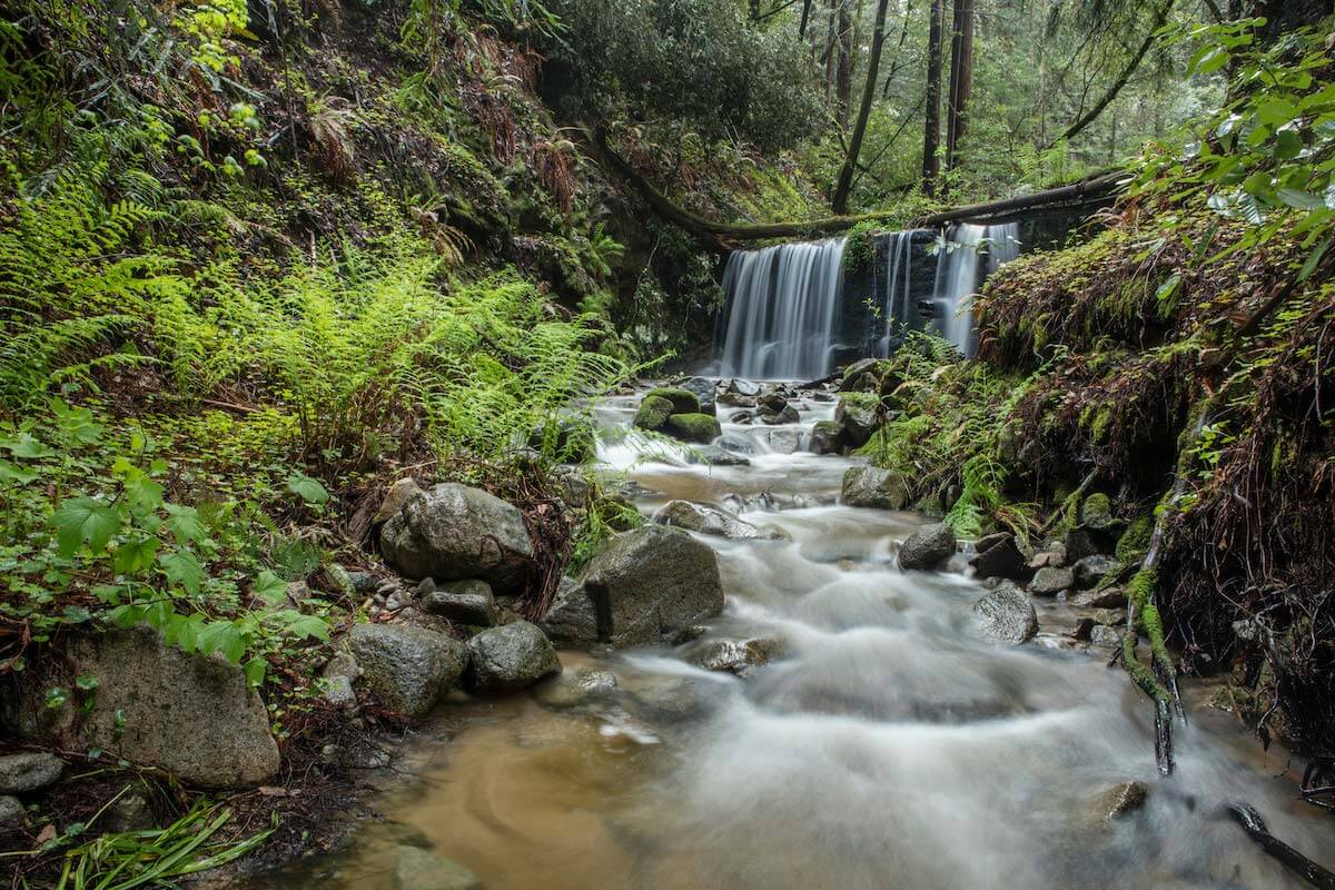 Water falls in the middle of green grass and trees
