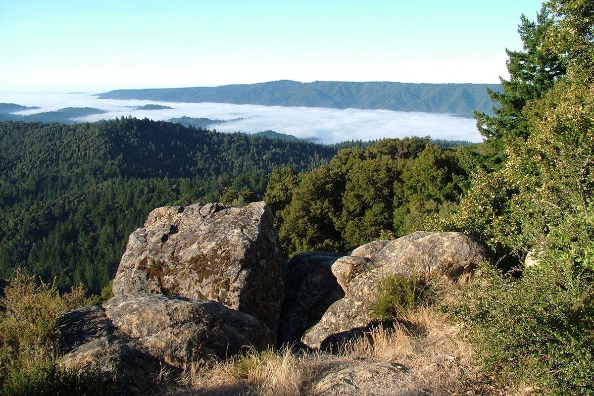 A photo of Castle Rock State Park that includes rocks and trees.