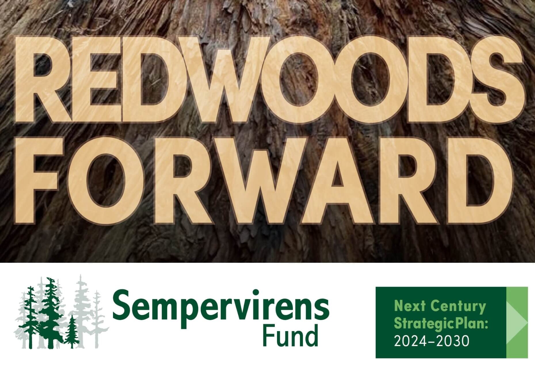 RedwoodsForward RedwoodsForward