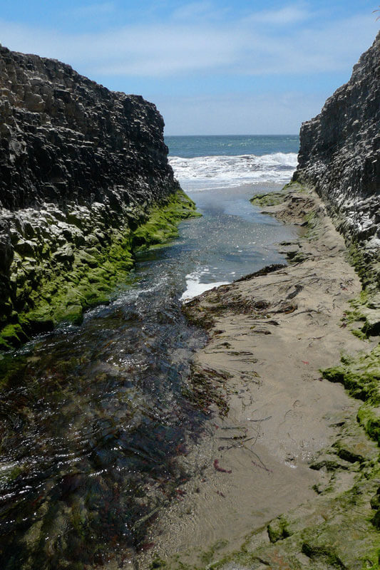 Mouth of San Vicente Creek by Dawn Endico