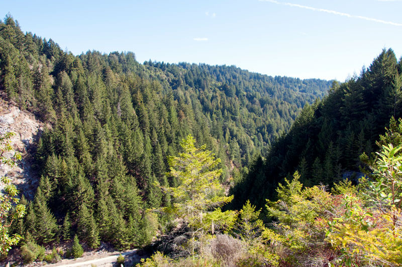 San Vicente Watershed View