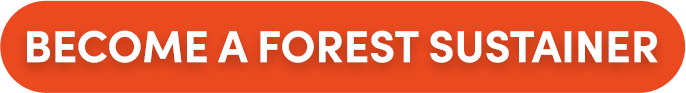 Become a Forest Sustainer